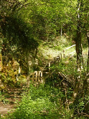 54 - LES GRANGES DE SOUPÈRE