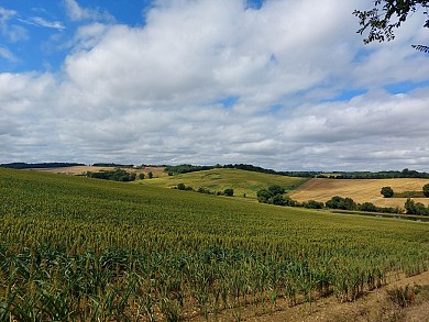 Lomagne PR7 - Circuit des Crêtes