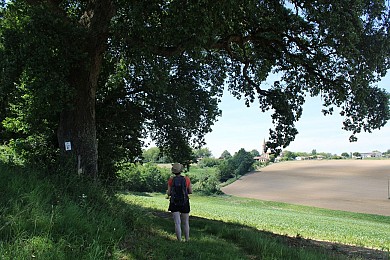 Lomagne PR9 - Circuit des Fontaines