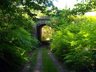 VTT - Gravel - La ronde des moulins - 18 km -  ...