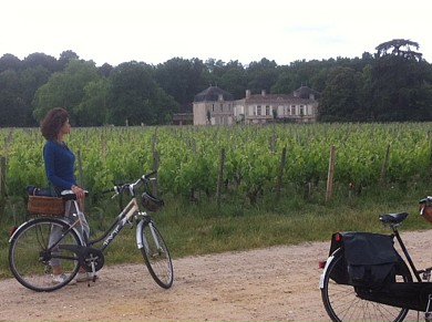 Les vignes en ville Bordeaux-Métropole