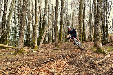 CIRCUIT VTT N°19 ROUGE - ESPACE VTT-FFC SALVET ...