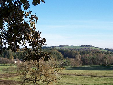 Le bois de Tempêtier