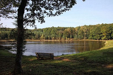 VTT - Gravel - La Forêt de Mirambel - 39 km -  ...