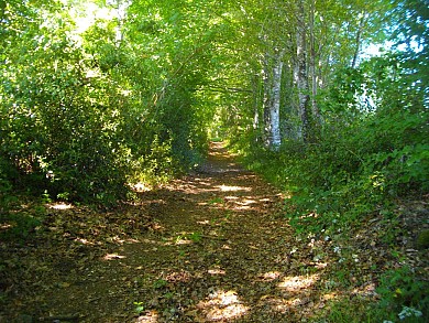 VTT - Gravel - Vers Pras - 25 km - circuit 49