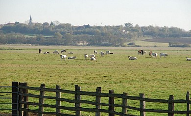 Circuit cyclable des communaux