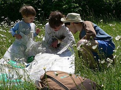 Balade à Roulettes n°28 Promenade dans les boi ...