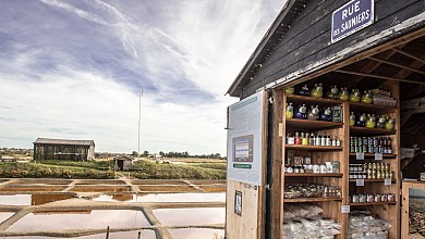 La Fleur de sel - L'Ile d'Olonne