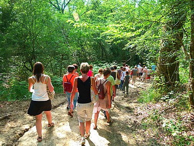 Circuit pédestre N°16 - "Forêt de la Lande"