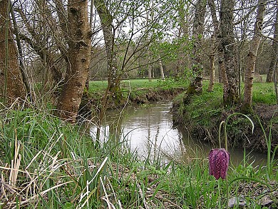 Circuit pédestre N°25 - "La Vallée du Lary"