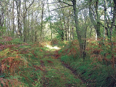 Circuit pédestre N°35 - "Les Hérissons"