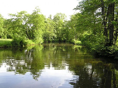 Circuit pédestre N°7 - "Grands Piniers"
