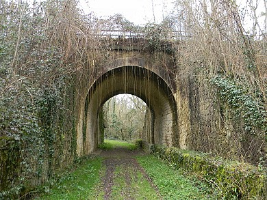 Circuit pédestre N°29 - "La forêt de châtaigniers"