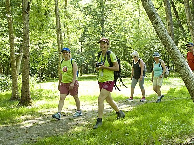 Circuit pédestre N°3b - "Beaulon"