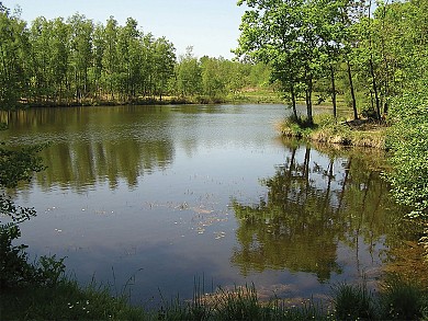 Circuit pédestre N°13a - "Les Bénissons"