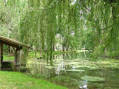 Circuit VTT N°4 - "Les Boucles de la Seugne"