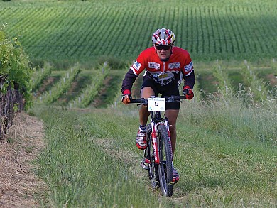 Circuit VTT N°1 - "Champagne pour la Voie Romaine"