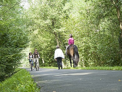 Circuit VTT N°21 - "Circuit de la Voie Verte"