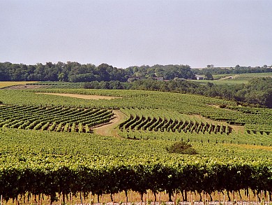 Circuit VTC N°14 - Biron