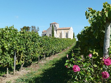 Circuit pédestre "Les Counins" - St-Eugène