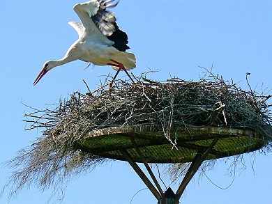 Circuit Véloroute - "Rayonnantes de Haute-Sain ...