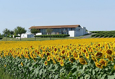 Circuit Véloroute - "Rayonnantes de Haute-Sain ...