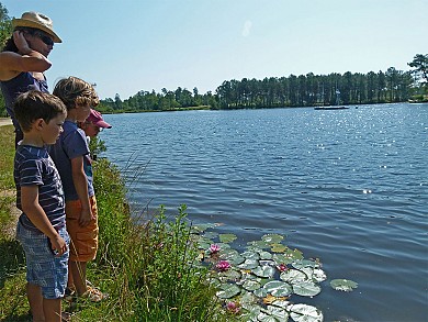Circuit Véloroute - "Rayonnantes de Haute Sain ...
