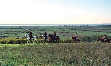 Route des Cardinaux en Pays de Haute-Saintonge