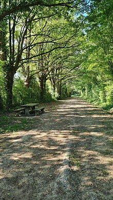 Sentier des Fours - Saint Martin des Noyers
