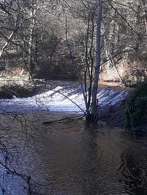 N°7 - Les Rives de la Crûme