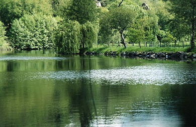 N°13 - Le Chemin des noisetiers