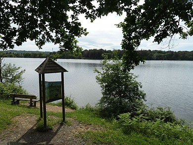 Momas : Du Luy à l'Ayguelongue