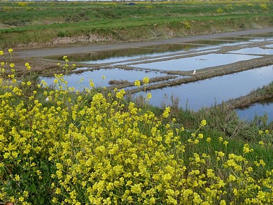 Balade nature autour de la Réserve Naturelle N ...