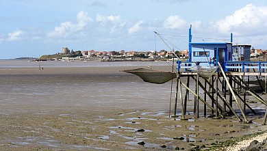 Escapade nature sans voiture - Grand Site Estu ...