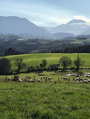 De Gan à Bosdarros en vélo électrique - Boucle