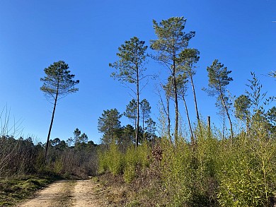 Circuit des Trois Communes