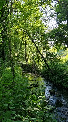 Sentier de la Triboulette - Rochetrejoux