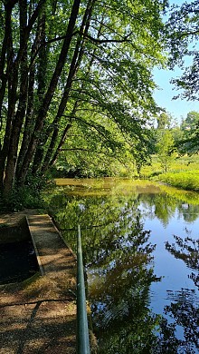Sentier des Vallons du Petit Lay - Rochetrejoux