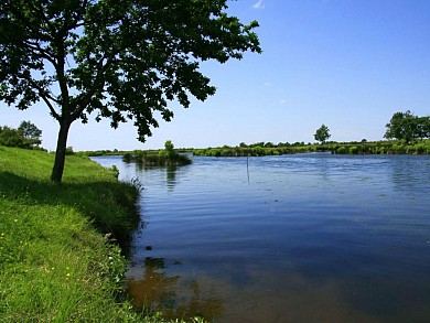 A Audenge, sur le Domaine de Graveyron entre t ...