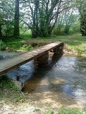 Sentier du pays Moltonais - Mouton