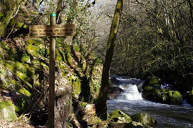 Sous les ombrages du Périgord Vert
