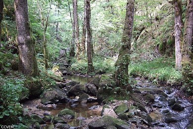 L'épave du camion allemand