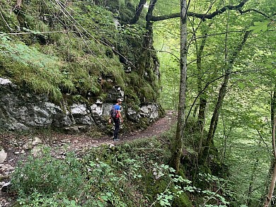 Source de la Bidouze - Uhauko ur sorgia