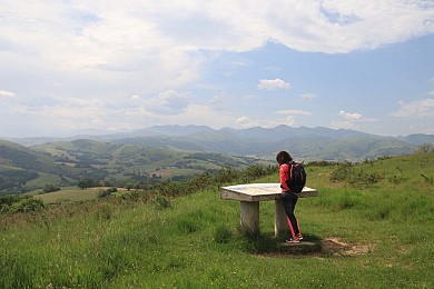 Haranbeltz eta Soihartze - Trail