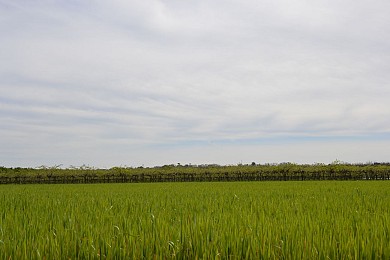 Boucle de l'Imbarradys