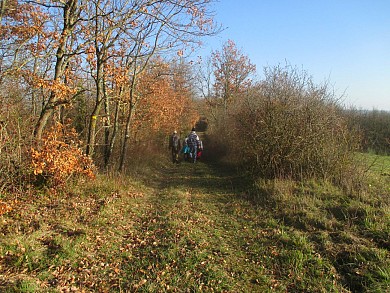 La boucle lasséranaise