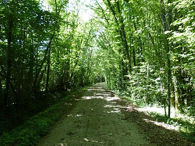 Sentier pédestre "Chemin de la mine" à Faymoreau