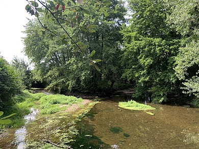 Sentier de l'Autise - Xanton-Chassenon