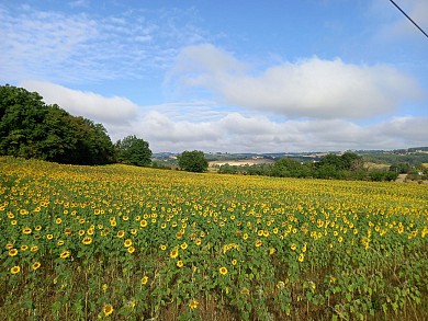 PR1 - Circuit des oiseaux à Labarthe