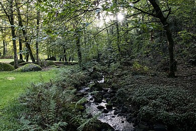 Parcours trail n°1 - Treize-Vents/Mallièvre